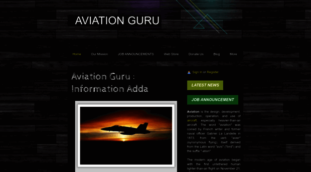 aviationguru.webs.com