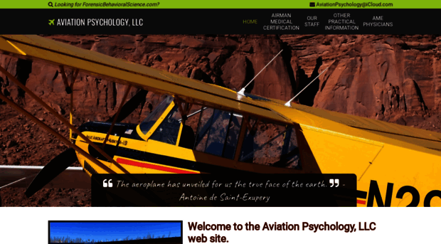 aviationpsychology.com