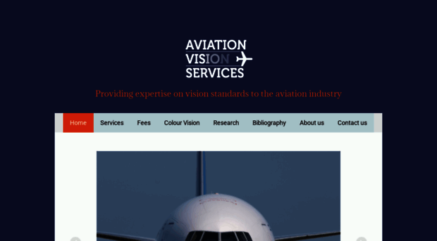 aviationvisionservices.com