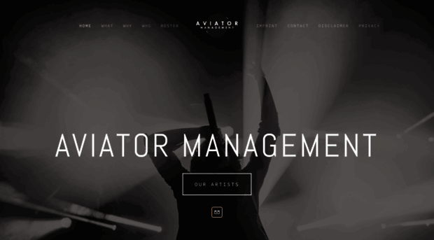 aviator-management.com