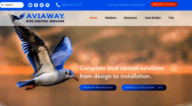 aviaway.com