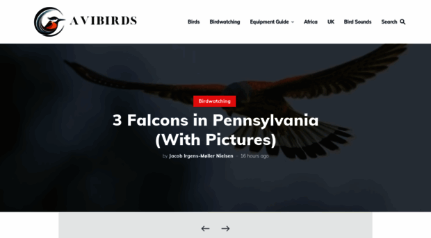 avibirds.com