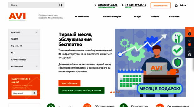 aviconsult.ru