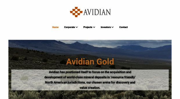 avidiangold.com