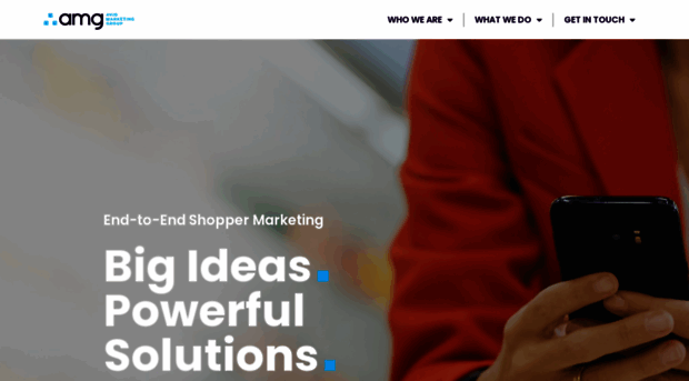 avidinc.com