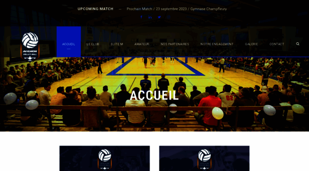 avignonvolleyball.fr