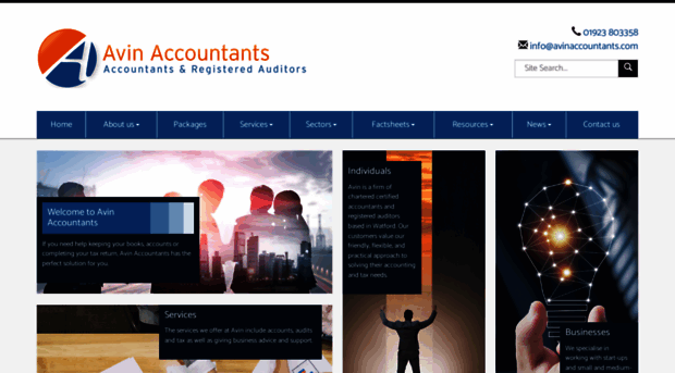 avinaccountants.com