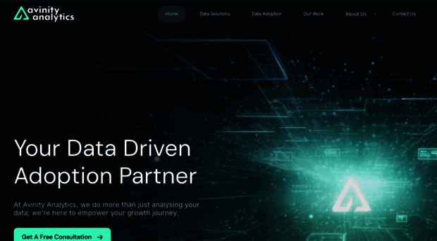 avinityanalytics.com