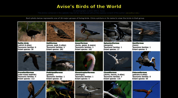 avise-birds.bio.uci.edu