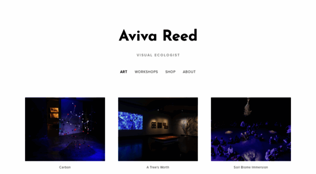 avivareed.com