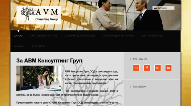 avm-consult.com