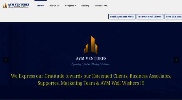 avmventures.com