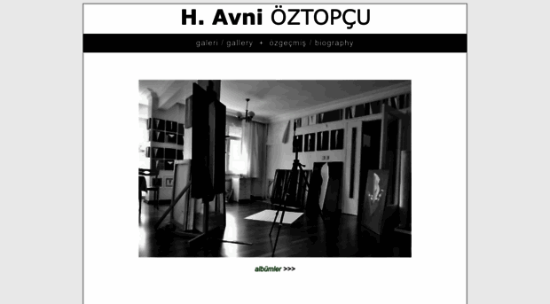 avnioztopcu.com