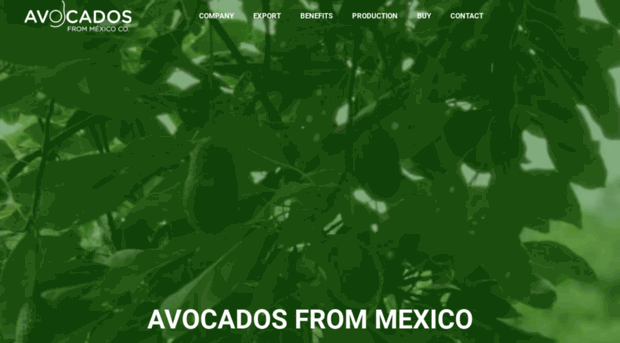 avocadosfrommexico.org