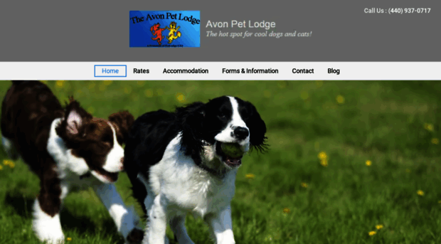 avonpetlodge.com