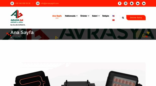 avrasyagrill.com