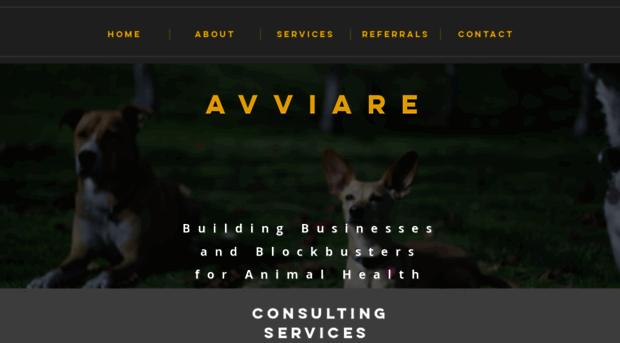 avviare.consulting