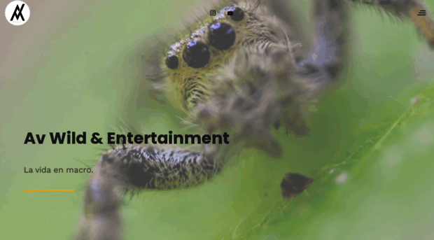 avwild.com