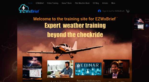 avwxtraining.com