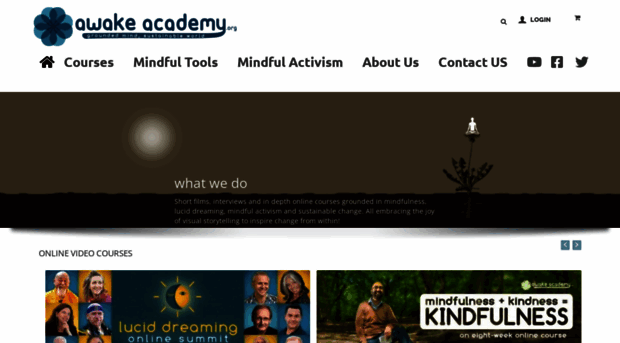 awakeacademy.org