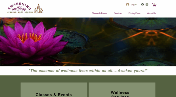 awakeningwellness.info