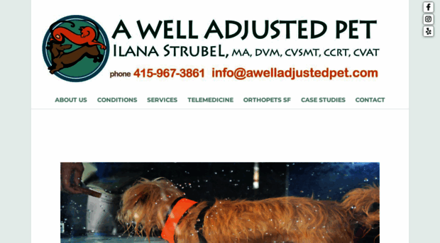 awelladjustedpet.com