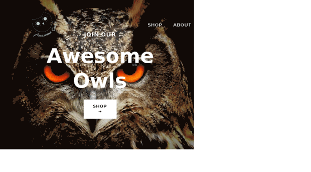awesome-owls.com