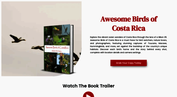 awesomebirdsofcostarica.com