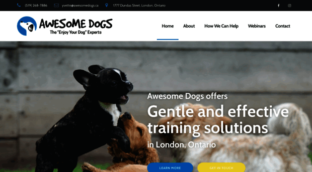 awesomedogs.ca
