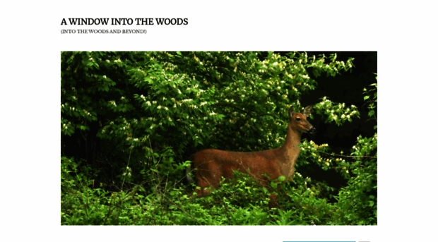 awindowintothewoods.com