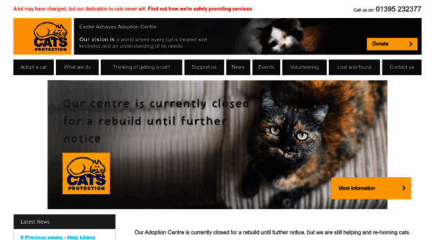 axhayes.cats.org.uk