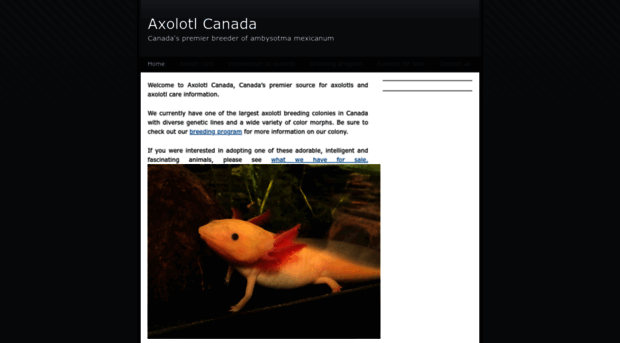 axolotlcanada.com