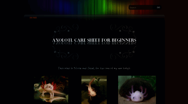 axolotlcaresheetforbeginners.weebly.com