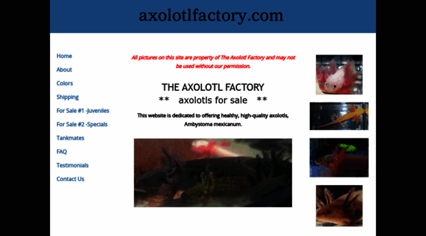 axolotlfactory.com