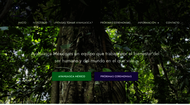 ayahuascamexico.com