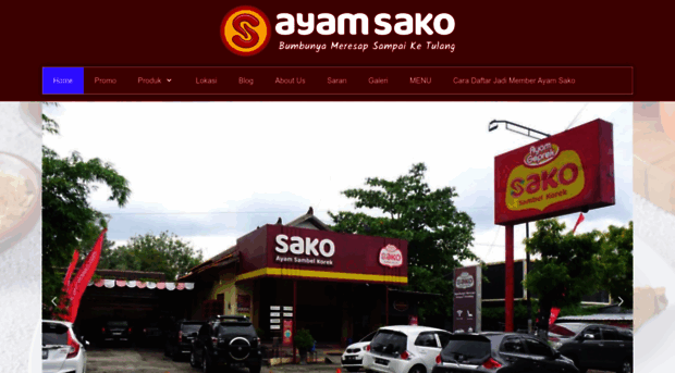 ayamsako.com