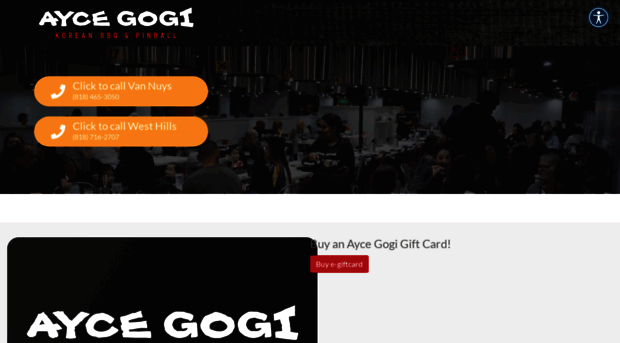 aycegogi.com