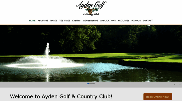 aydengolf.com