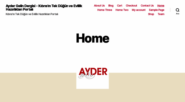 aydergelin.com