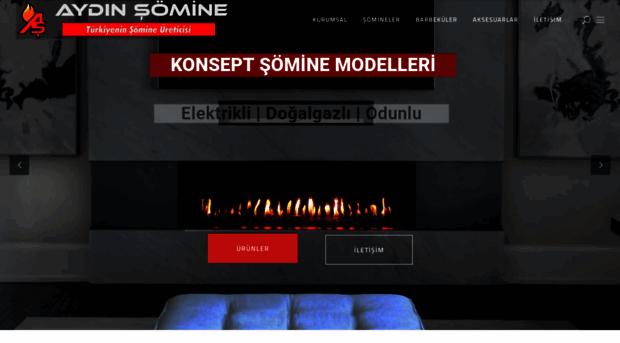 aydinsomine.com