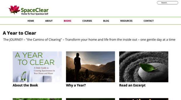 ayeartoclear.com