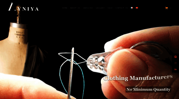 ayniya.com
