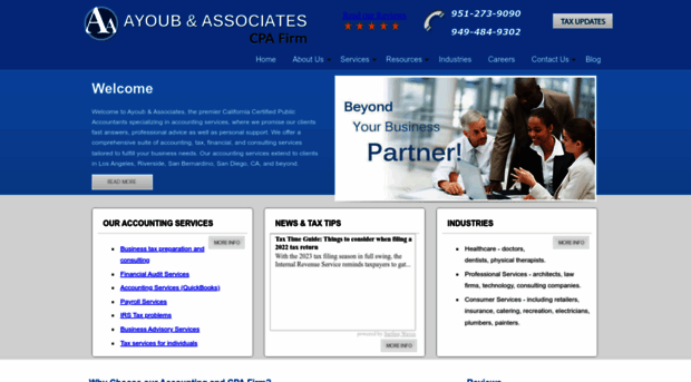 ayoub-associates.com