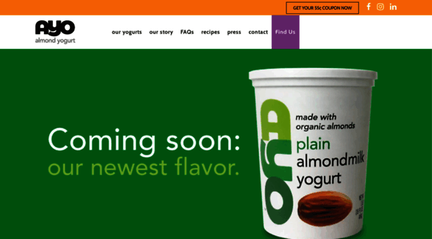 ayoyogurt.com