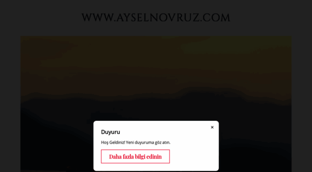 ayselnovruz.com