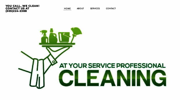 ayspcleaning.weebly.com