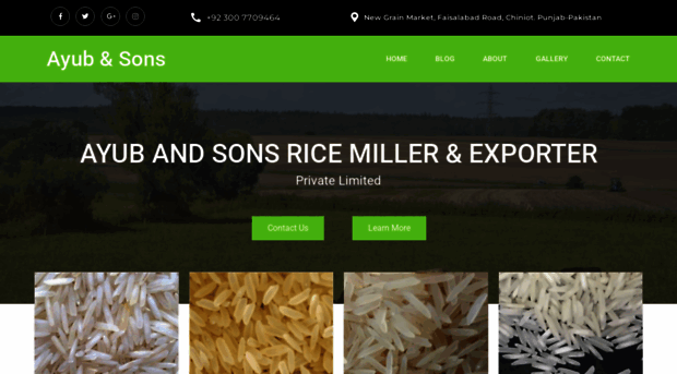 ayubsons.com