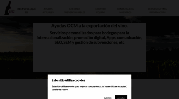 ayudas-ocm.com