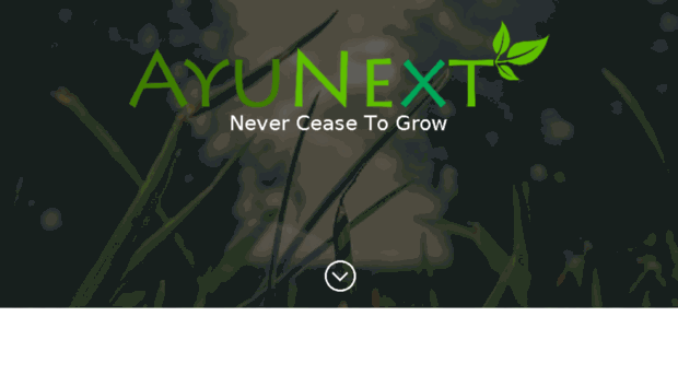 ayunext.com