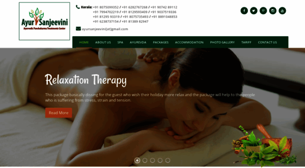 ayursanjeevini.com